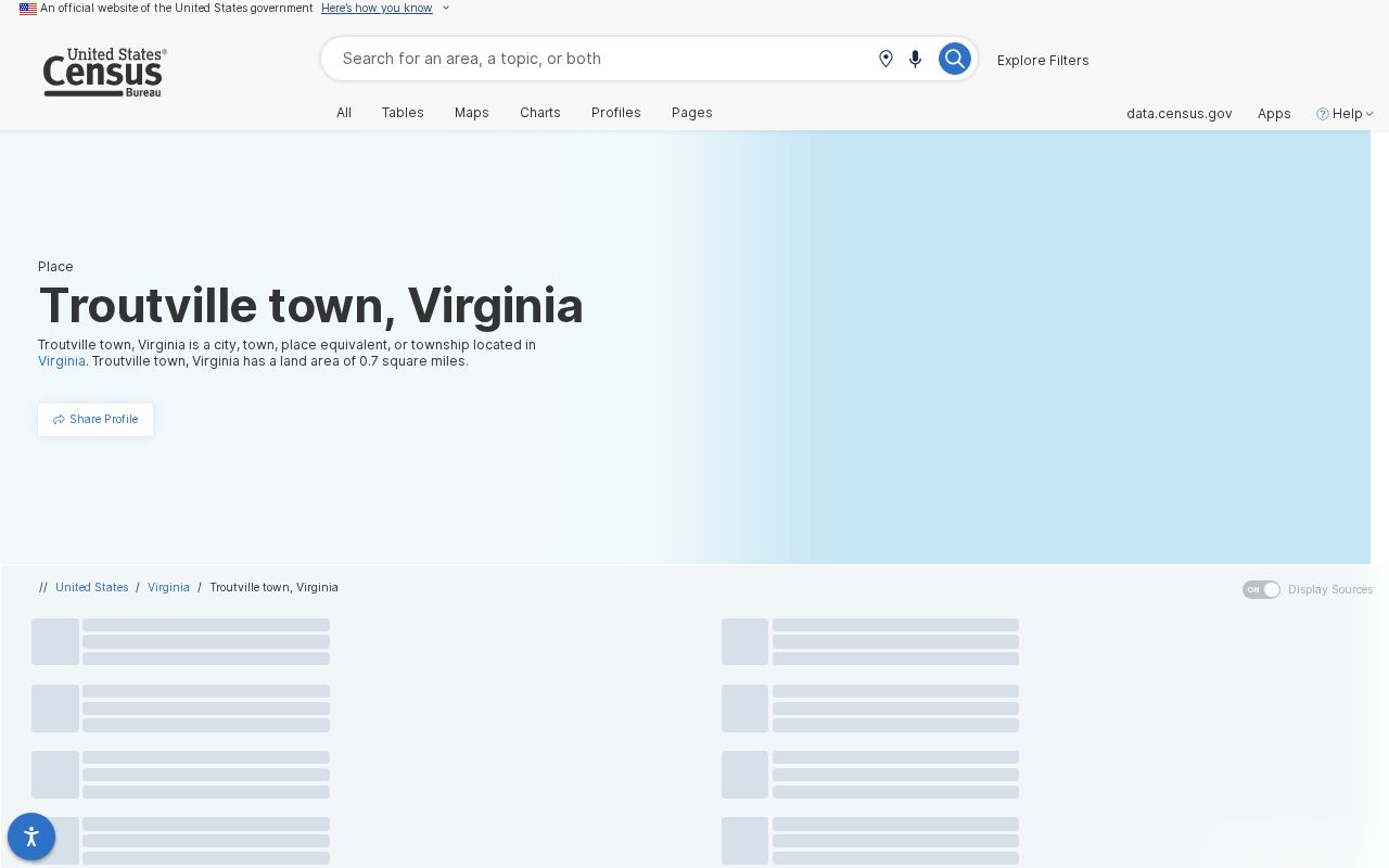 Census profile for Troutville criminal record location context